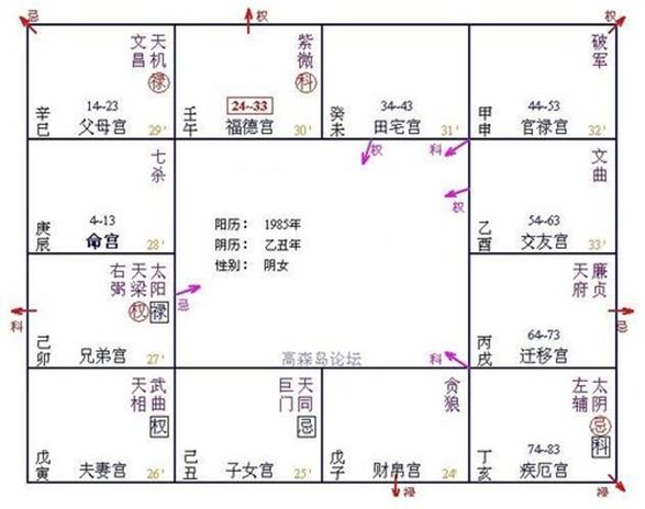 飛星病理