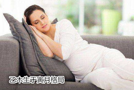 乙木生于寅月格局