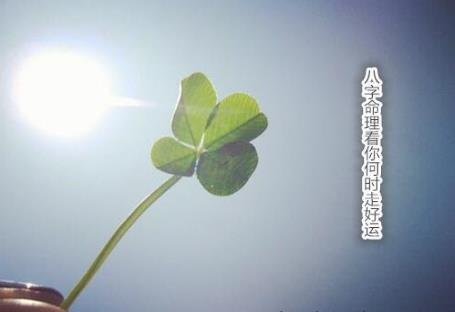 八字命理看你何时走好运 八字命理看你何时走好运