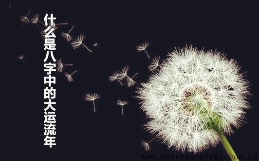 什么是八字中的大运流年