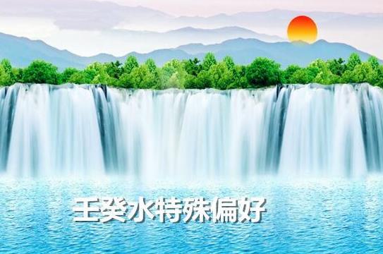 什么是八字从儿格