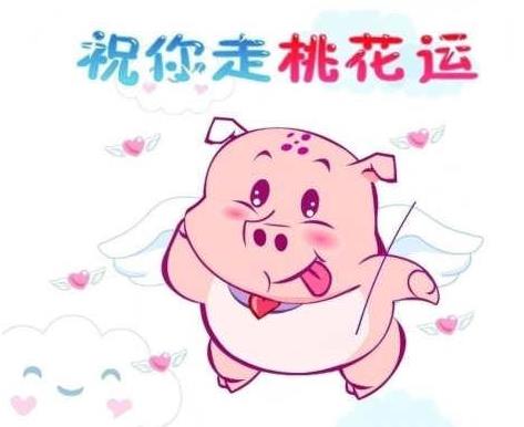 生辰@￥桃花运好不好