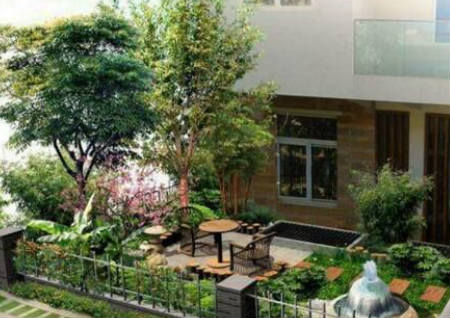 庭院风水环境不宜种植大树 庭院风水环境不宜种植大树