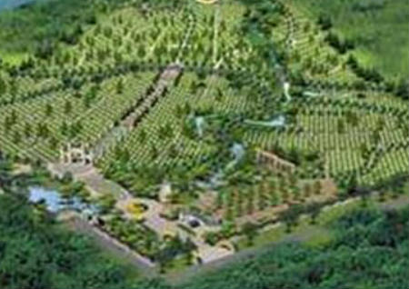 坟墓风水宝地形状