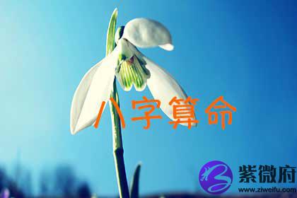 八字算命