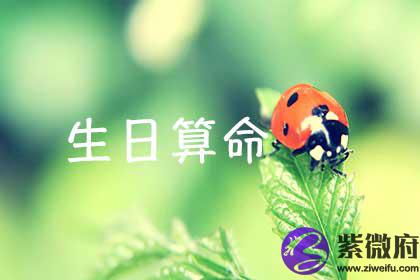 生日看命运