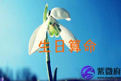 生日@¥