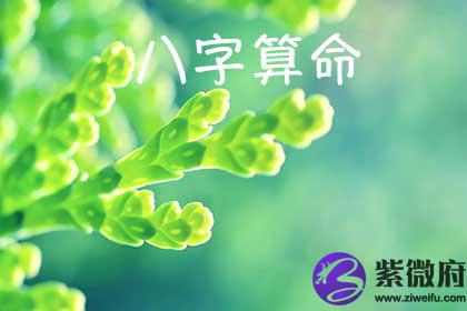 八字算命