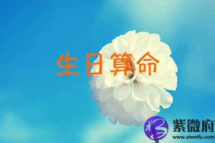 生日测试命运