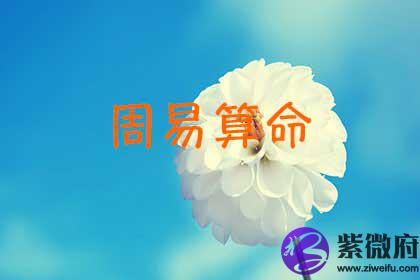 周易算命
