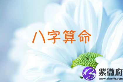 八字算命