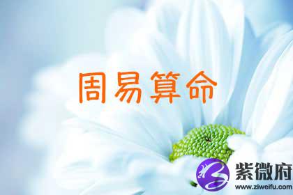 周易算命
