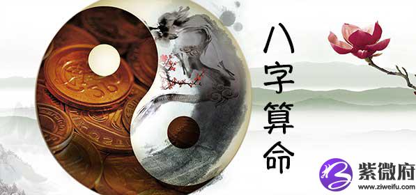 八字算事业