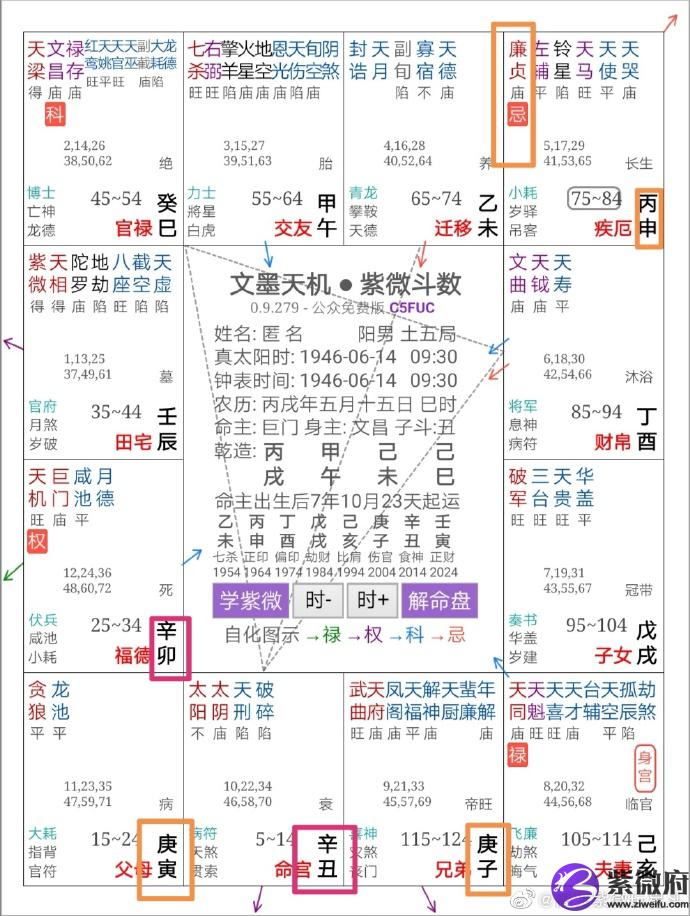 特朗谱紫微斗数命盘