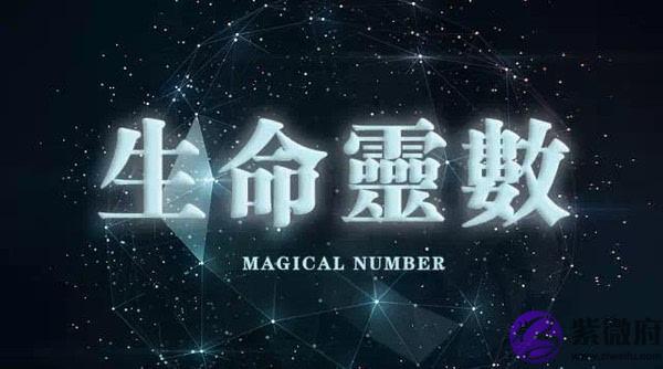 生命灵数预测看你是否有娶富婆的命