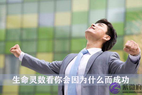 生命灵数看你会因为什麽而成功