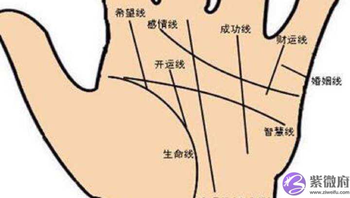 财运线是什麽 财运线怎麽看