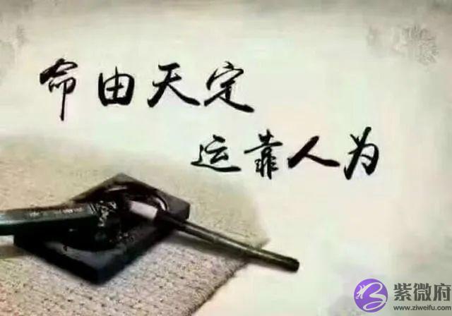 八字格局中的弃命格——从财格 八字格局中的弃命格——从财格