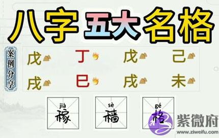 八字格局解析：一气专旺格之稼穑格