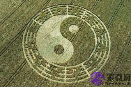 怎麽看八字纯阴纯阳 怎麽看八字纯阴纯阳