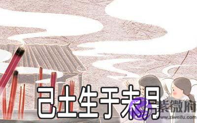 解析己土生于未月的命理