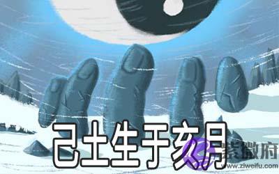 解析己土生于亥月的命理