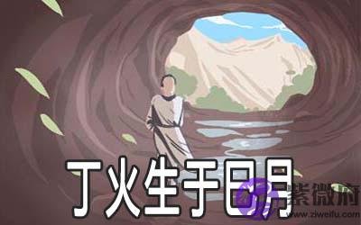 解析丁火生于巳月的命理 解析丁火生于巳月的命理