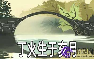 丁火生于亥月