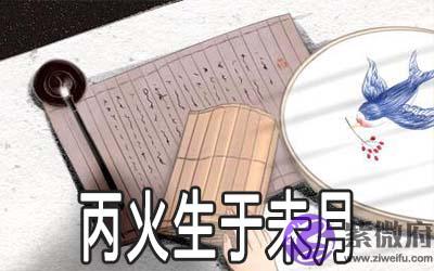 丙火生于未月 丙火生于未月
