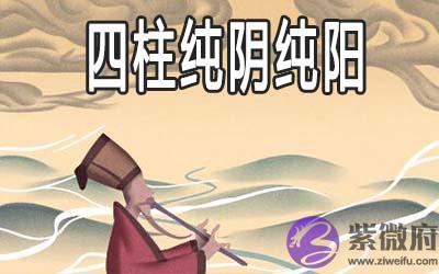 四柱纯阳为何不能算命 四柱纯阴纯阳怎麽样