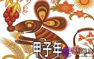 什麽是甲子年 