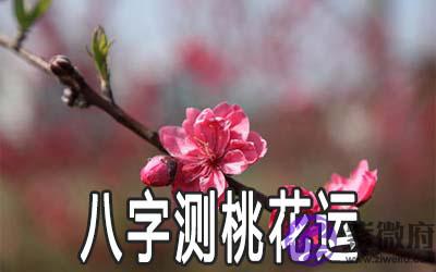 八字怎麽测桃花运详解 八字怎麽测桃花运详解