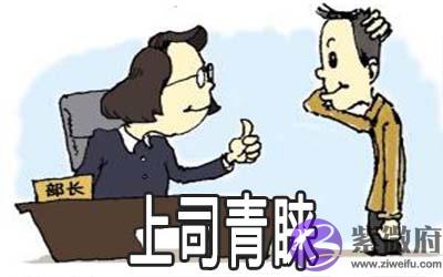 紫微斗数解析你会受哪种上司的青睐
