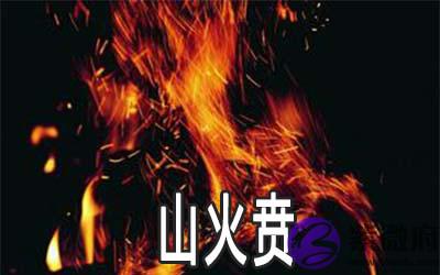 周易山火贲：谈事业发展