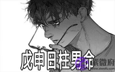 戊申日柱男命身体怎麽样
