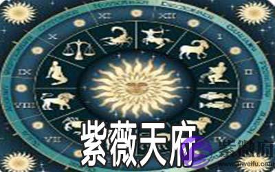 紫微命盘分析：天府详解