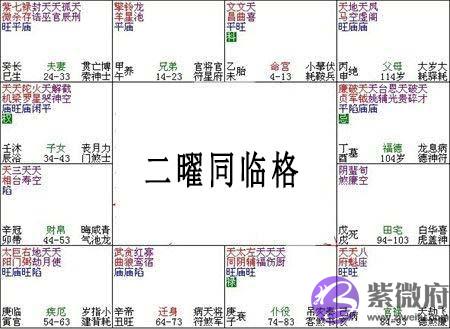 紫微斗数富贵格局：二曜同临格详解