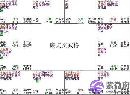 紫微斗数富贵格局：廉贞文武格