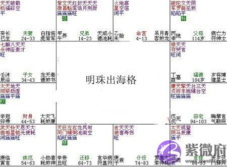 紫微斗数富贵格局：明珠出海格
