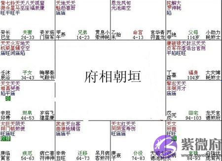 紫微斗数富贵格局：府相朝垣格详解