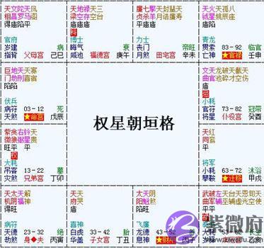 紫微斗数富贵格局：权星朝垣格（雄宿朝垣格）