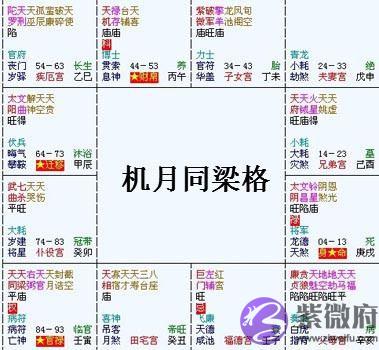 紫微斗数富贵格局：机月同梁格