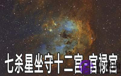 巨门星坐守十二宫：官禄宫详解
