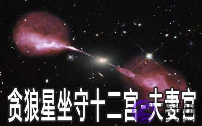 贪狼星坐守十二宫：夫妻宫详解