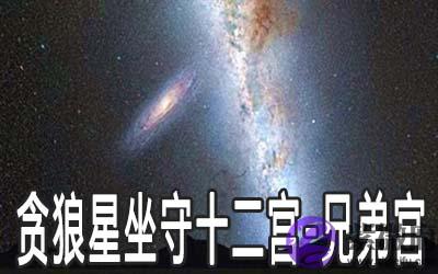 贪狼星坐守十二宫：兄弟宫详解