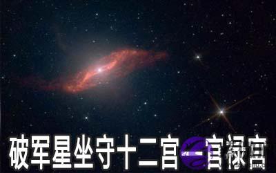 破军星坐守十二宫：官禄宫详解