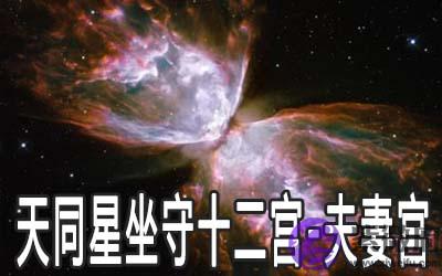 天同星坐守十二宫:夫妻宫详解 天同星坐守十二宫:夫妻宫详解