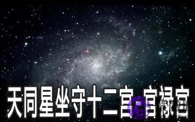 天同星坐守十二宫：官禄宫详解