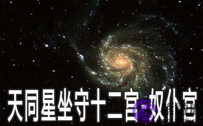 天同星坐守十二宫：奴仆宫详解