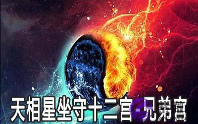 天相星坐守十二宫:兄弟宫详解 天相星坐守十二宫:兄弟宫详解